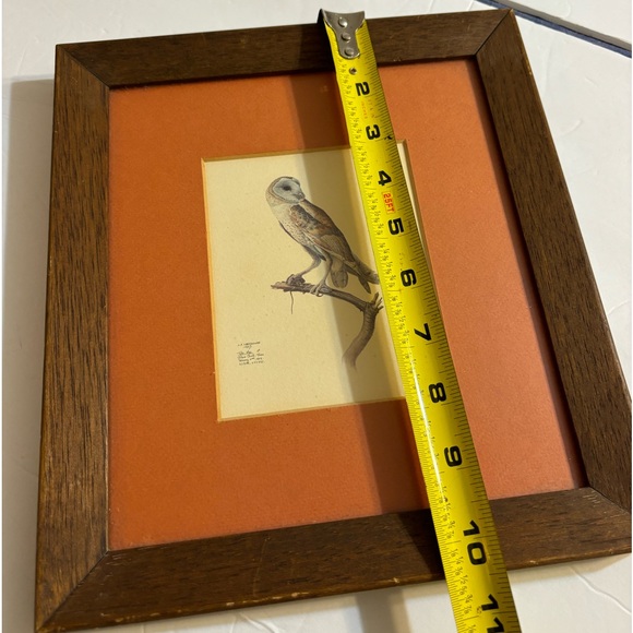 J. F. LANSDOWNE Matted and Framed Print Tyto alba Barn Owl 1967 - Picture 7 of 11